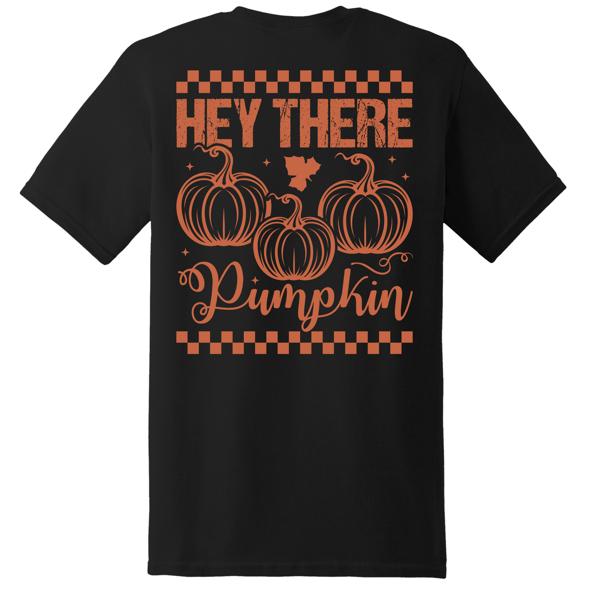 Hey There Pumpkin Tee - Back Print
