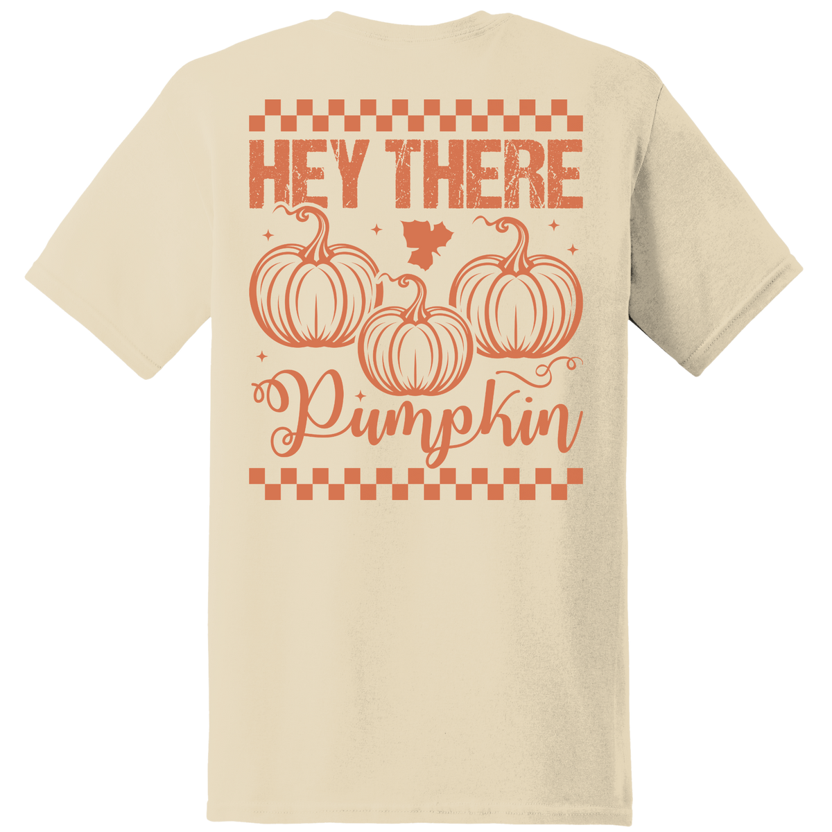 Hey There Pumpkin Tee - Back Print