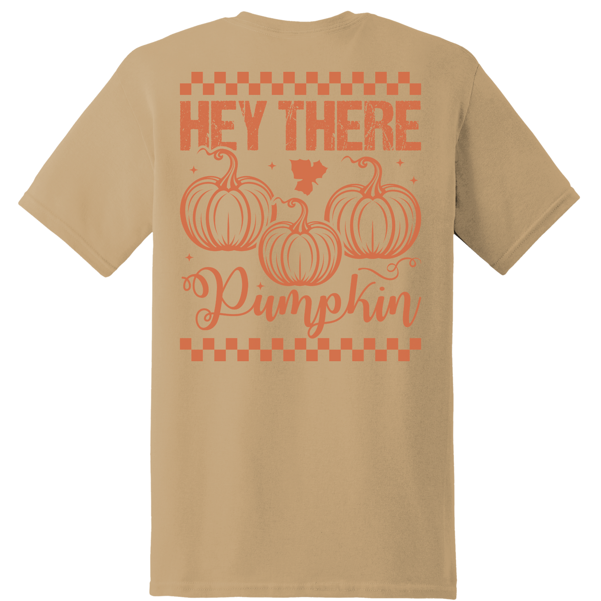 Hey There Pumpkin Tee - Back Print