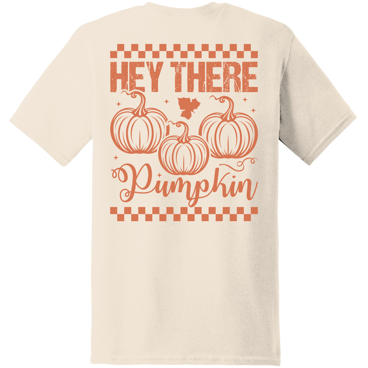Hey There Pumpkin Tee - Back Print
