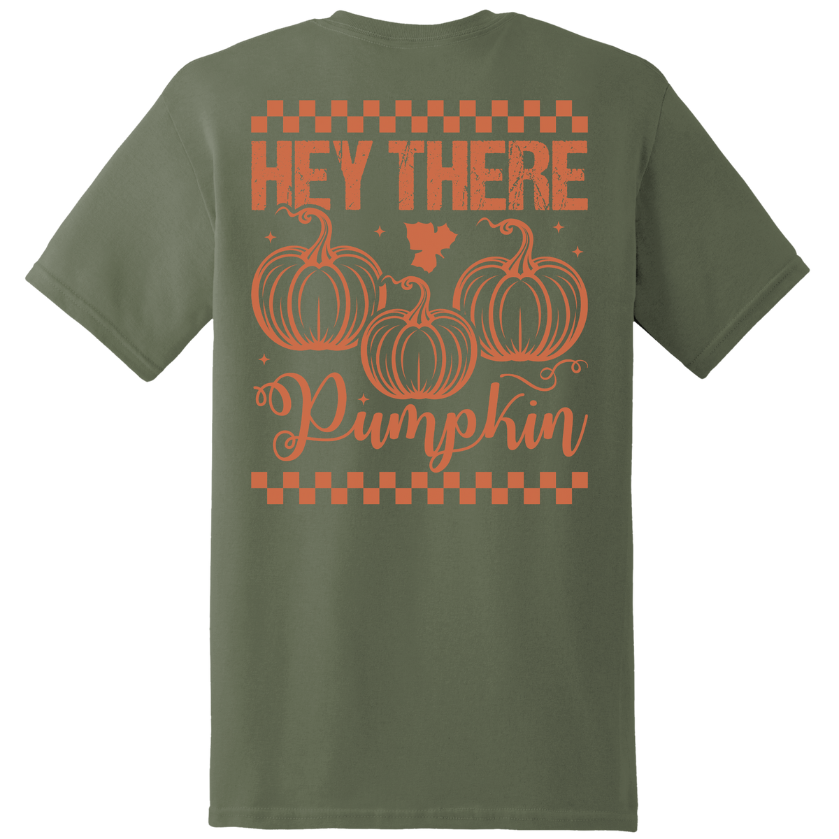 Hey There Pumpkin Tee - Back Print